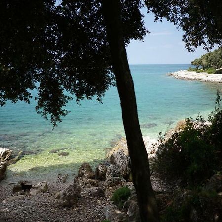 Guesthouse Galeb 弗尔萨尔 外观 照片