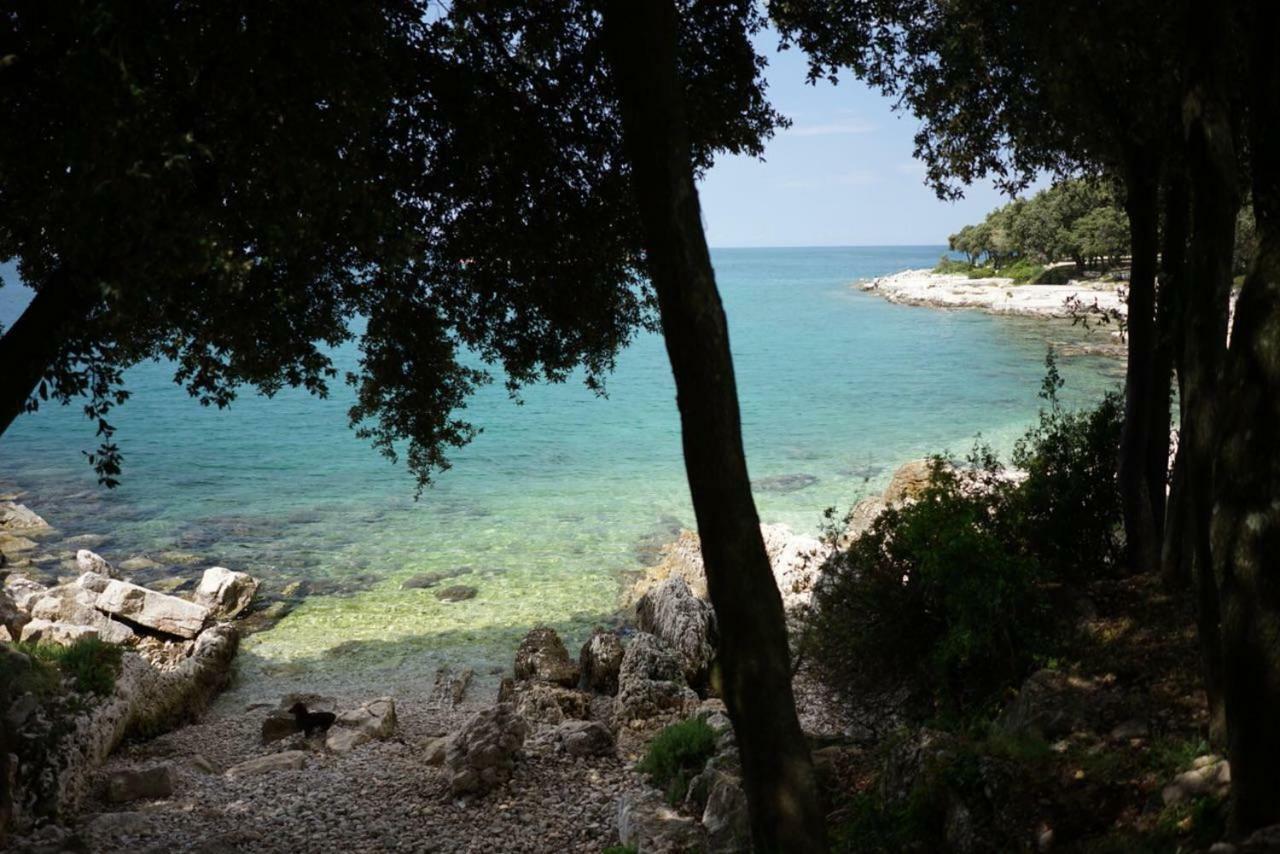 Guesthouse Galeb 弗尔萨尔 外观 照片